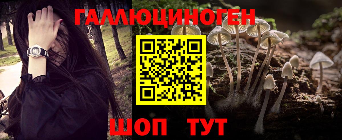 Южноуральск  Галлюциногенные грибы Magic Shrooms  купить   Вход с VPN 