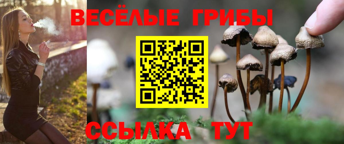 Галлюциногенные грибы Magic Shrooms Южноуральск